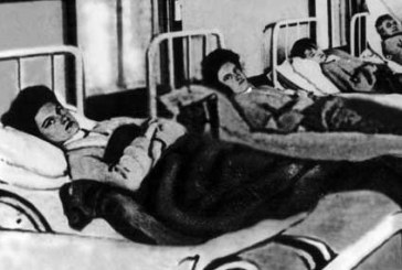 1915: Typhoid Mary: The Woman who was Quarantined for Life