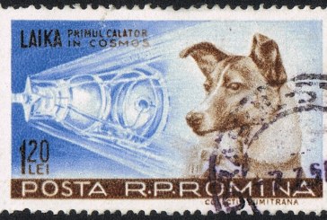 1958: Dog Laika Burned during the Return to Earth