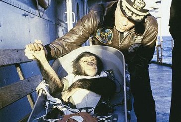 1961: Chimpanzee Launched into Outer Space
