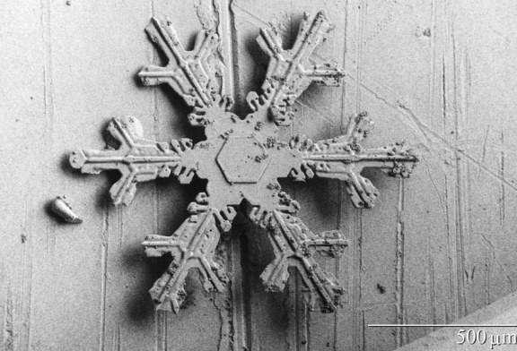 1887: What was the Diameter of the Largest Snowflakes in History?