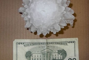 1986: Hailstones Weighing One Kilogram Fall at 200 km/h