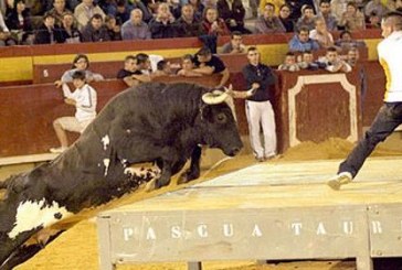 2013: Spanish “Killer Bull” Ratón – Fighting Bull who Killed Three People