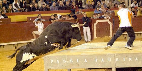 2013: Spanish “Killer Bull” Ratón – Fighting Bull who Killed Three People