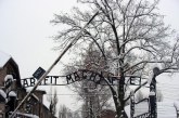 Auschwitz-Birkenau Rebellion (1944)